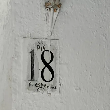 Sisterhood Hostel-female Only